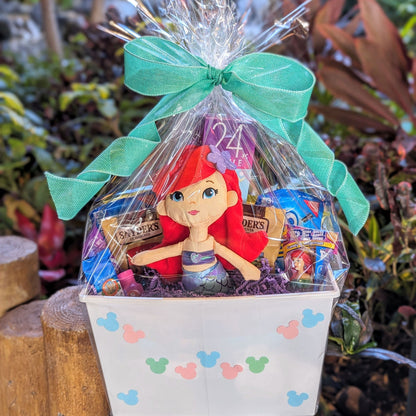 Disney Princess Gift Basket