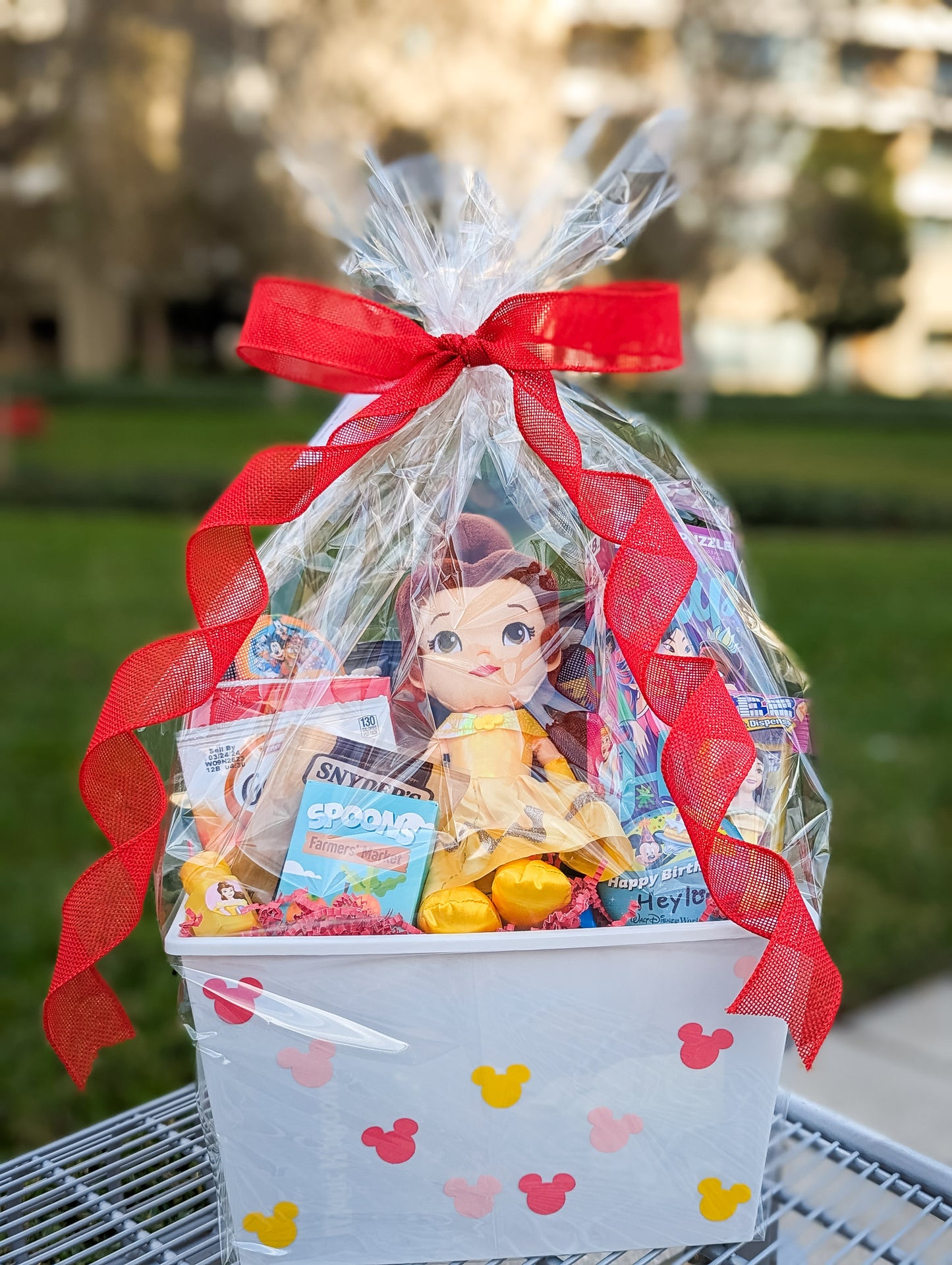 Disney Princess Gift Basket – Magical Gift Baskets